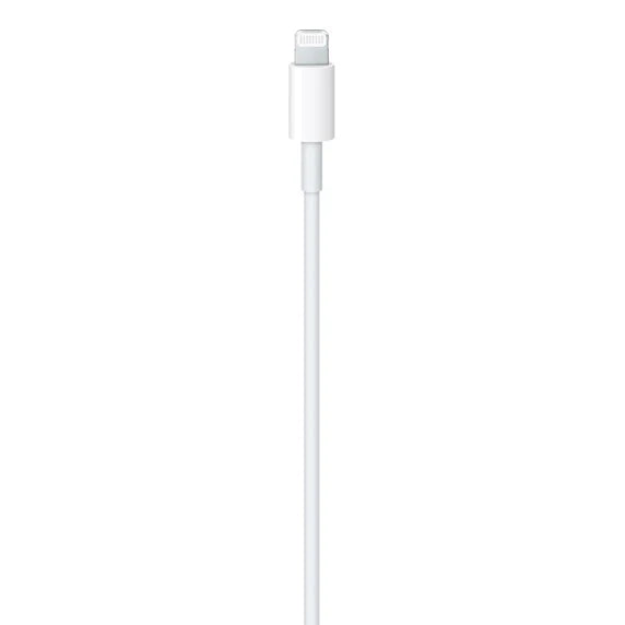 APPLE C TO LIGHTNING CABLE (1M)