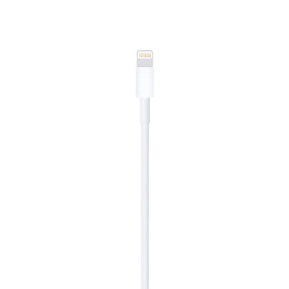 APPLE LIGHTNING TO USB CABLE (1M)