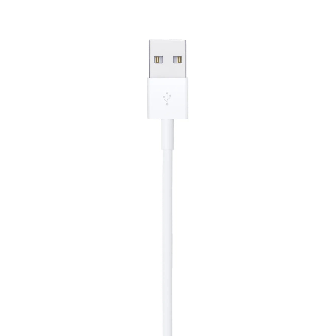 APPLE LIGHTNING TO USB CABLE (1M)